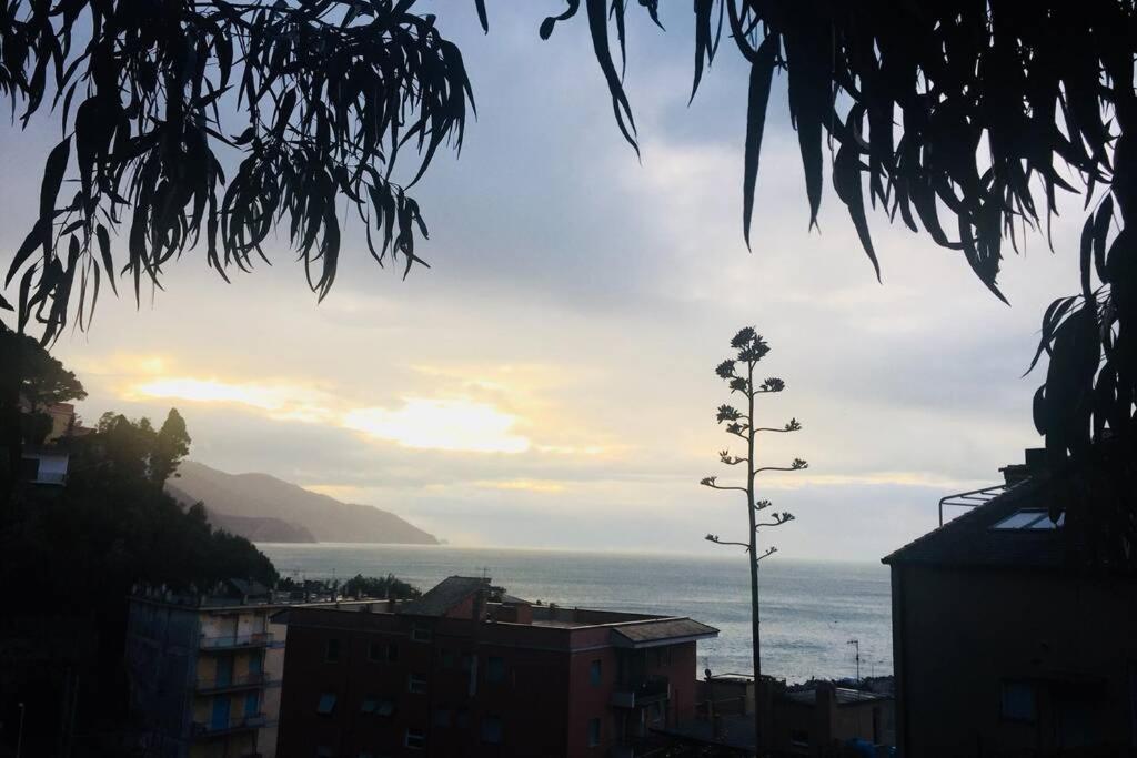 Sea View With Terrace, La Casa Di Christine Apartment Monterosso al Mare Ngoại thất bức ảnh